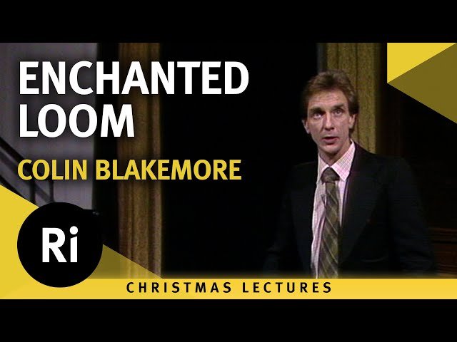 Enchanted Loom - How All the Senses Work Together - Lecture 6