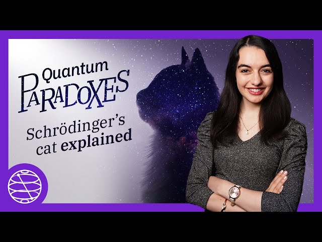 Schrödinger's Cat Paradox Explained with Quantum Computing - Episode 1