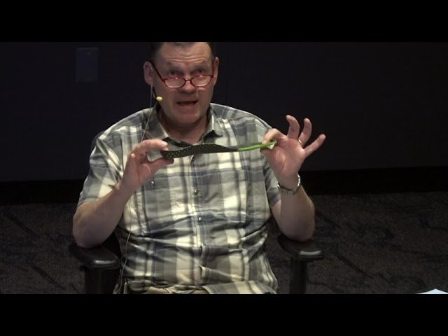 Prime Time Alive- Foot Health