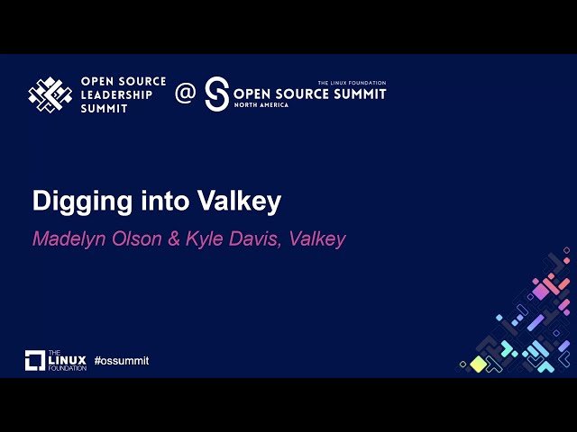 Digging into Valkey - An Open Source Alternative to Redis
