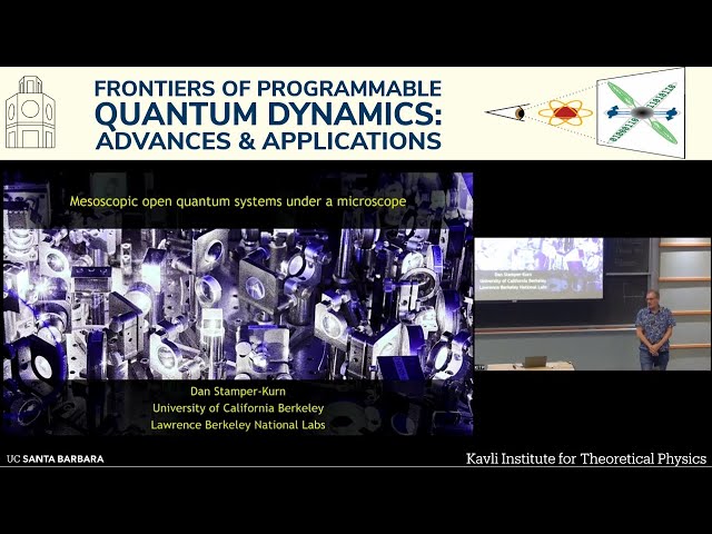 Mesoscopic Open Quantum Systems Under a Microscope