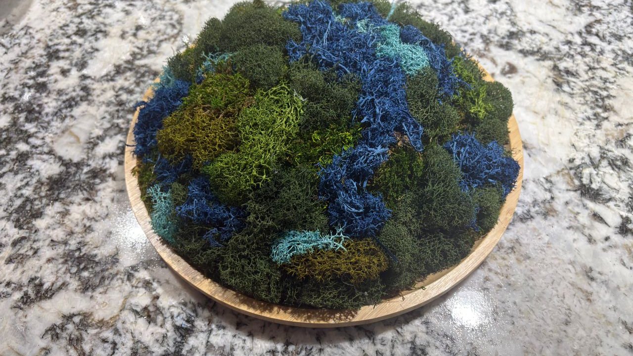 Virtual Earth Day Green Craft: Moss Bowl Centerpiece (Team Building)