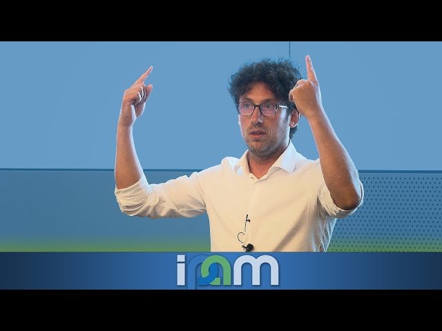 Vertex Models - Algebraic and Probabilistic Aspects of Universality 2024