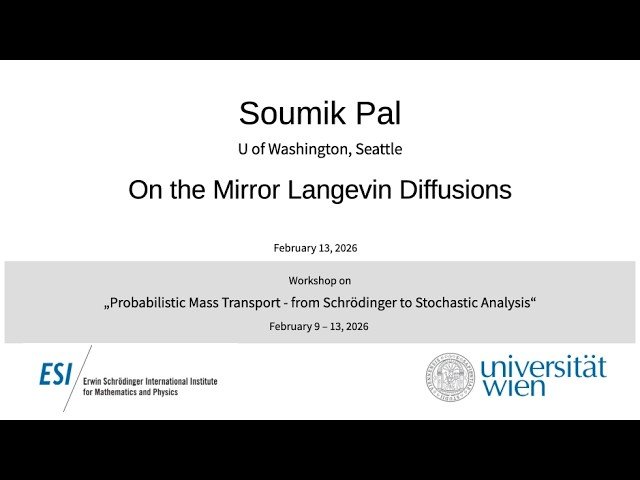On the Mirror Langevin Diffusions
