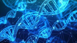 Molecular and cell biology