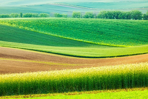 Landscape education for ecological and cultural transition