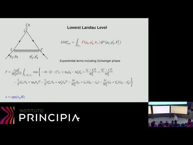 Quark Anomalous Magnetic Moment in Extreme Magnetic Fields and Unusual Quark Effective Interactions from Vacuum Polarization