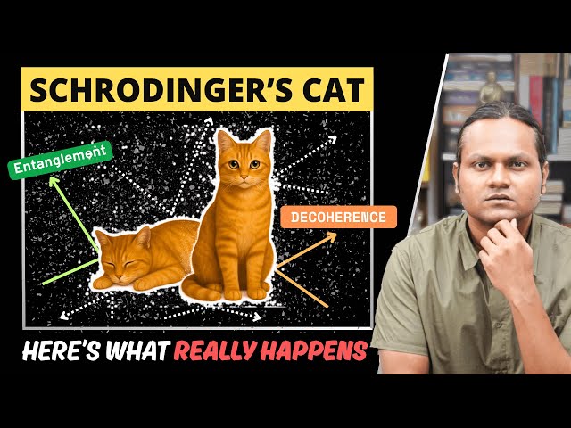 Schrödinger's Cat Explained - It's NOT About Cats!