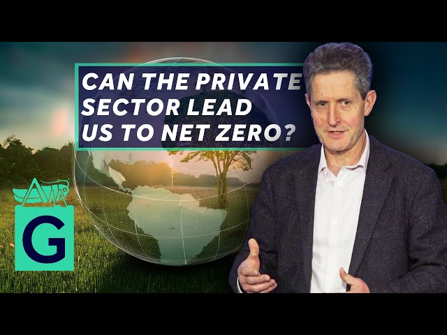 Science-Based Targets, Greenwashing and Brownscraping - Net Zero Strategies in the Private Sector