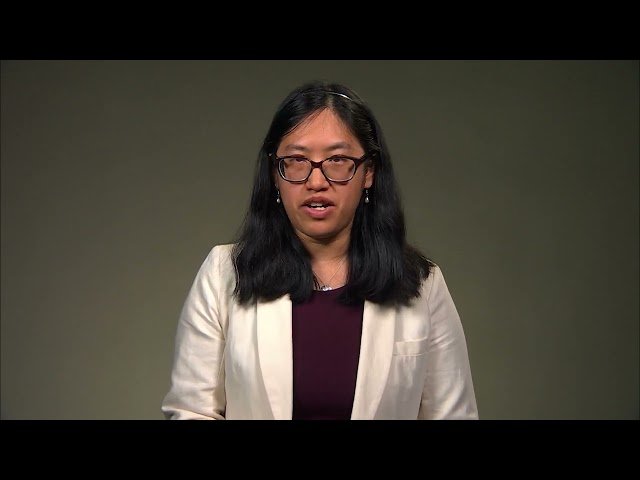 Demystifying Deep Learning - Neural Networks and Medical AI Applications - 11.3