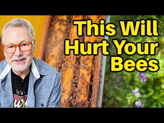 Beekeeping - Should You Put Frames Back In The Same Order?