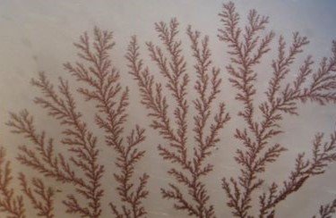 Microstructural Evolution of Materials: Phase Transformations