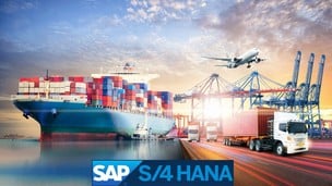 Learn SAP S/4 HANA Transportation Management, BN4L Project44