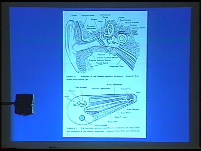 The Silicon Cochlea - From Biology to Bionics