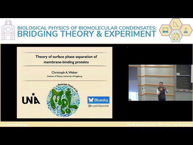 Theory of Surface Phase Separation of Membrane-Binding Proteins