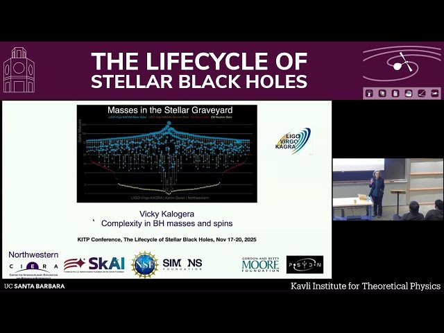 Complexity in Black Hole Masses and Spins