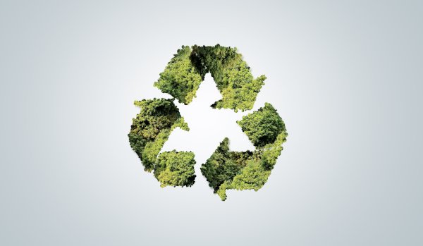 Fiber-Reinforced Composite Materials for the Circular Economy: Challenges and Opportunities