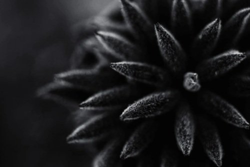 Fine Art Compositing (Self-Paced)