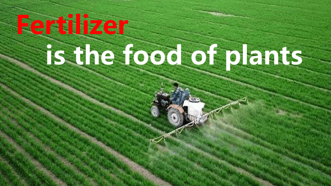 Plant and fertilizer analysis
