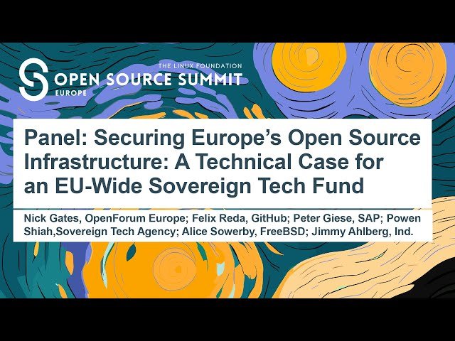Securing Europe's Open Source Infrastructure - A Technical Case for an EU-Wide Sovereign Tech Fund