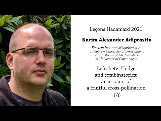 Lefschetz, Hodge and Combinatorics - An Account of a Fruitful Cross-Pollination