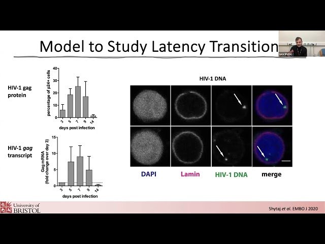 Leveraging Redox Dysregulation to Target Latent HIV Infection