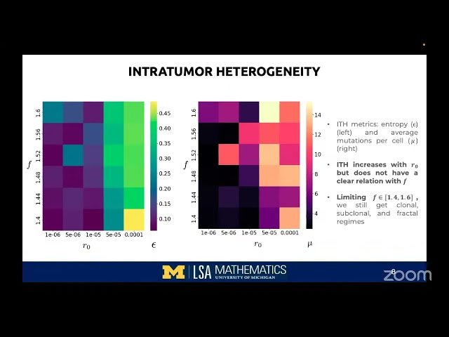 Modeling Cancer Evolution - A Data-Driven Agent-Based Modeling Approach in Melanoma