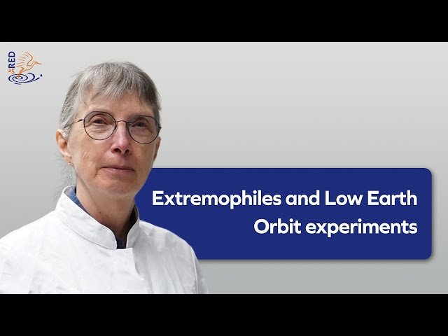 Extremophiles and Low Earth Orbit Experiments