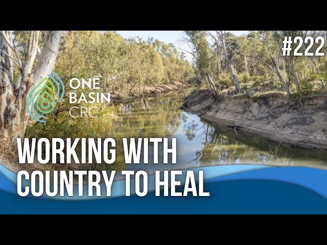 Working With Country to Heal - River Recovery Futures Alliance Billabong Project
