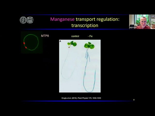 Quantitative Approaches to Cellular Aspects of Plant Ion Homeostasis