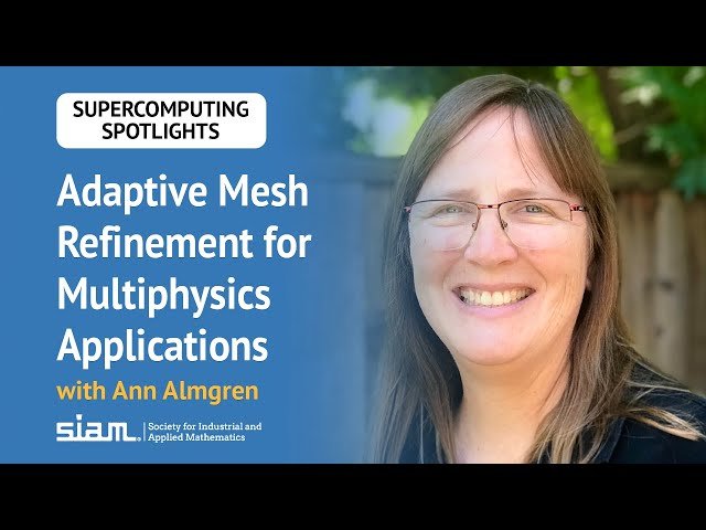 Adaptive Mesh Refinement for Multiphysics Applications