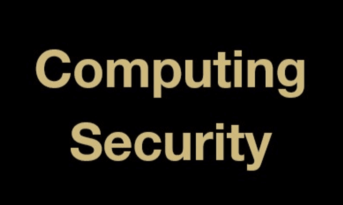 Basic Ideas in Computing Security