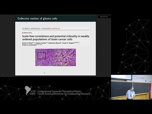 Research on Collective Biological Phenomena in the Statistical Biophysics Group