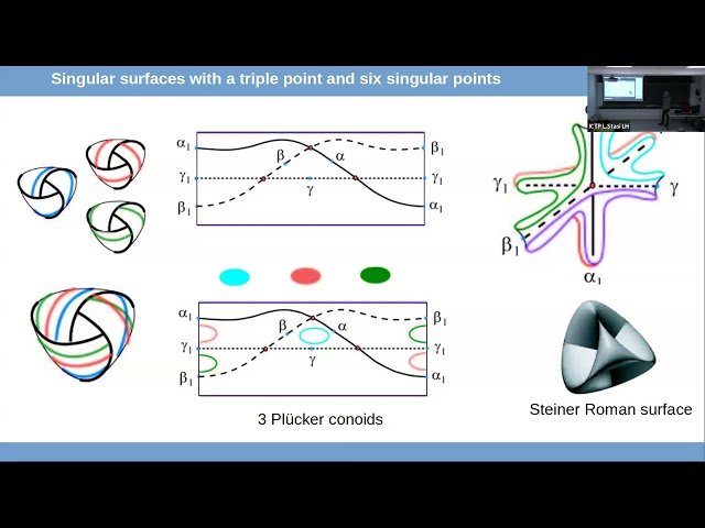 Whitney and His Umbrella - Exploring Singular Surfaces
