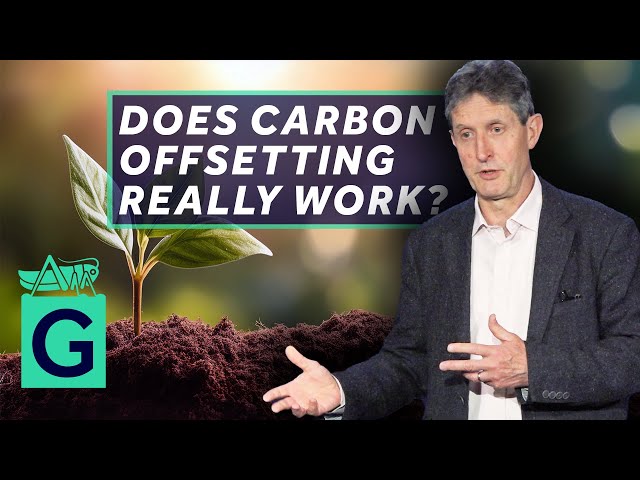 Carbon Offsetting: Does It Really Work?
