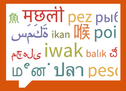 Playing Around with Language Data in Wolfram Language: Wolfram U