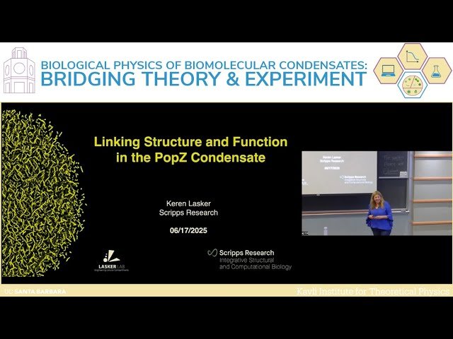 Linking Structure and Function in the Pop Condensate