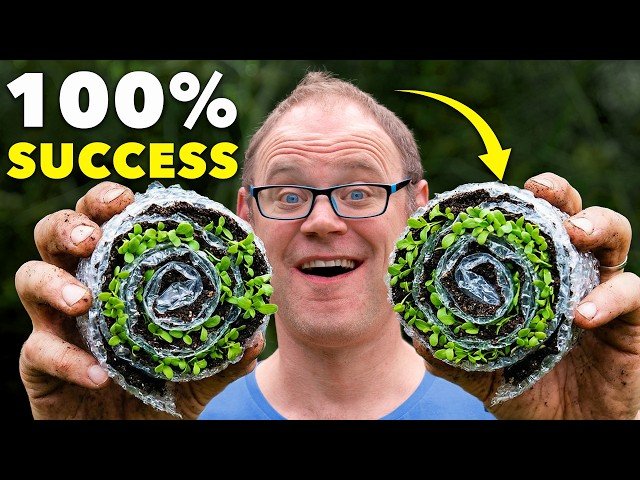 The Revolutionary Method for Starting Seeds
