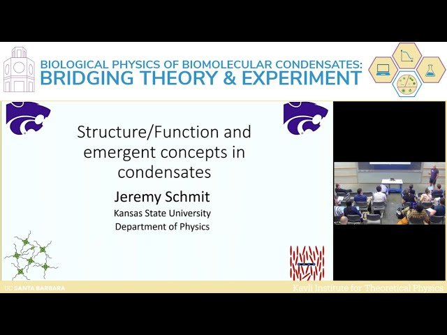 Structure/Function and Emergent Concepts at the Condensate Scale
