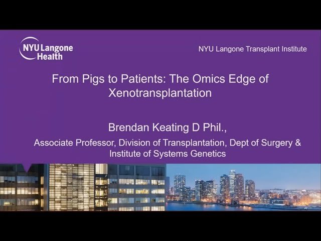 From Pigs to Patients - The Omics Edge in Xenotransplantation