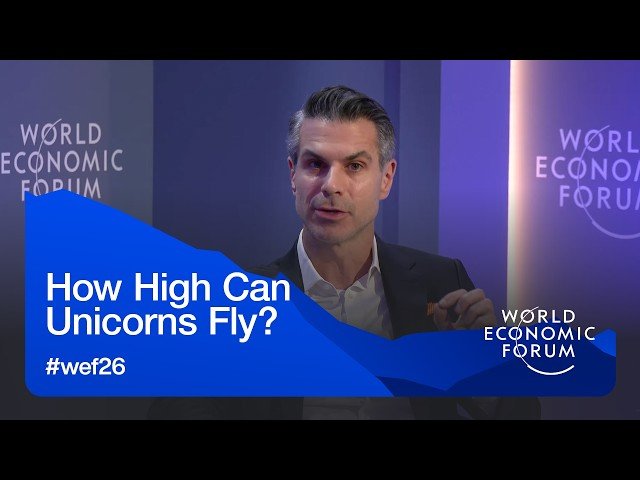 How High Can Unicorns Fly? - Redefining Success Metrics for Billion-Dollar Startups