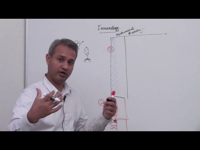 Immunology - Innate and Acquired Immunity, Immune Cells, and Hypersensitivity Reactions