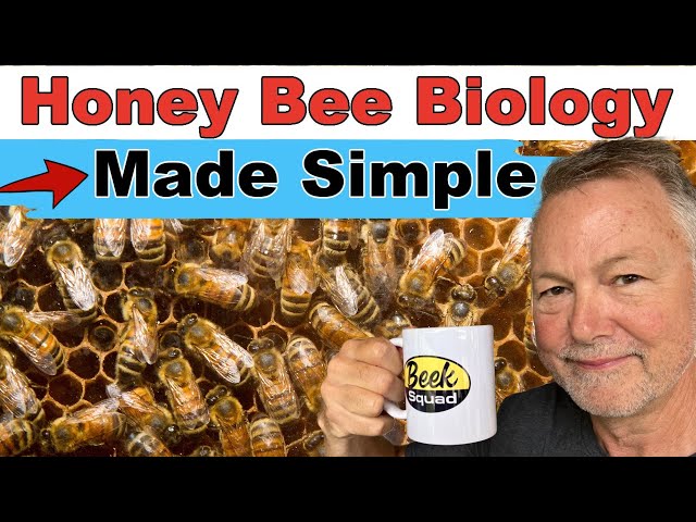 Understanding Honey Bee Biology for Beekeeping