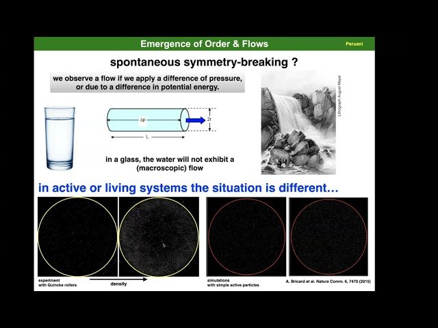 Emergence of Order in Active Matter: From Synchronization of Moving Oscillators to Collective Motion - Class 1