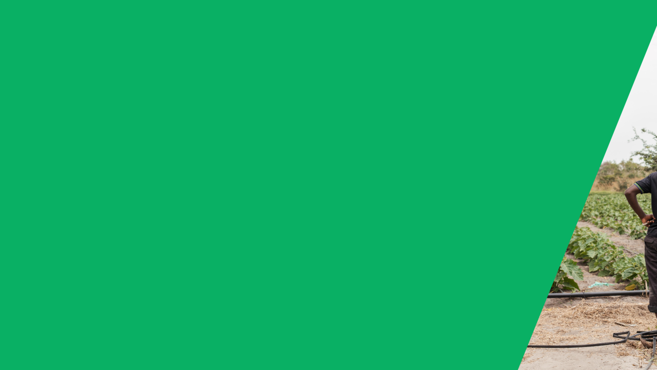 Inclusive Business: Reimagine Key Operations