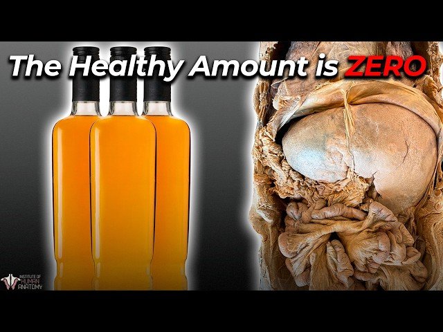 Why Health Organizations Are Changing Alcohol Rules in 2026