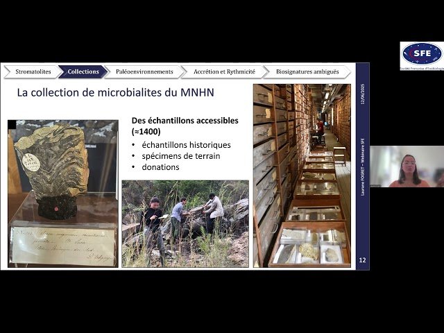 Aux Origines de la Vie - Une Enquête Géochimique dans les Archives du Muséum