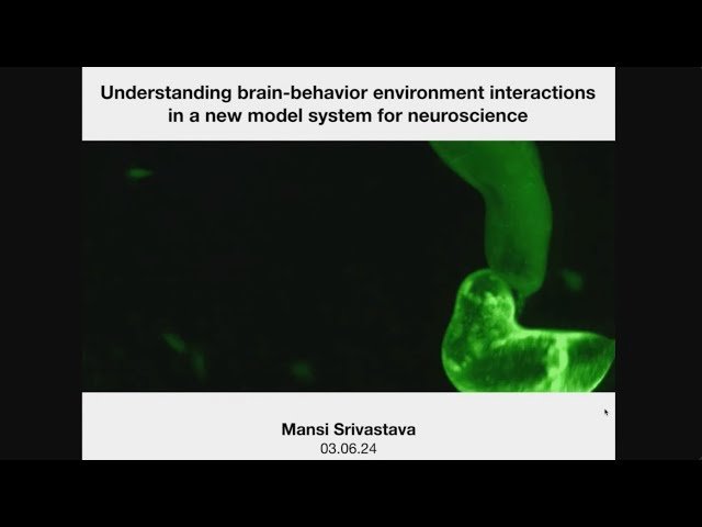 Understanding Brain-Behavior-Environment Interactions in a New Model System for Neuroscience