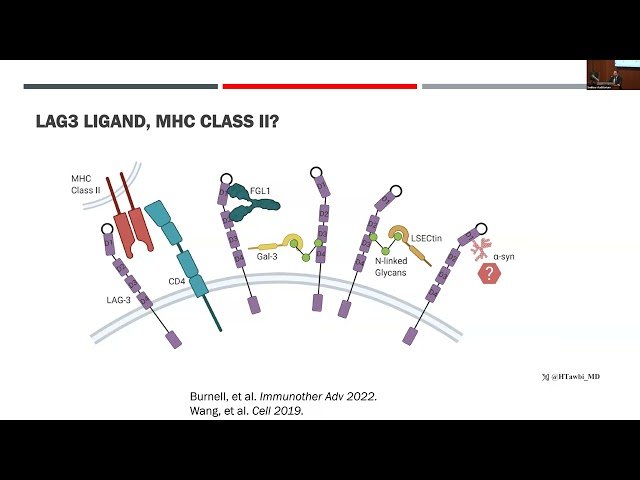 Novel Checkpoint Inhibitors and Their Role in Melanoma Brain Metastases