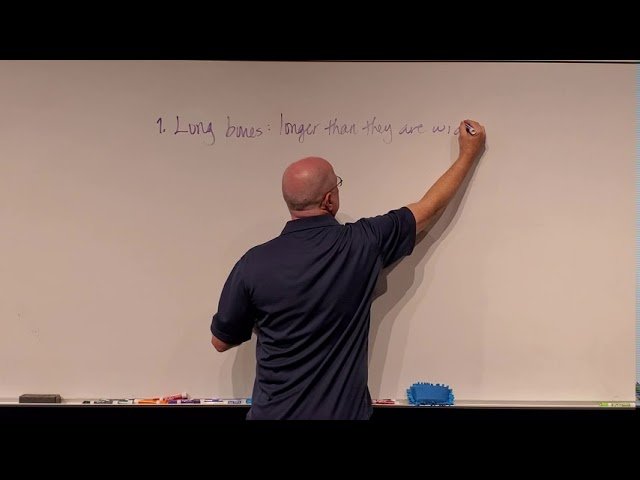 Anatomy and Physiology I - Bones and Articulation - Test 3